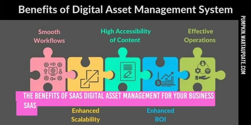 Nearshore Saas Developers